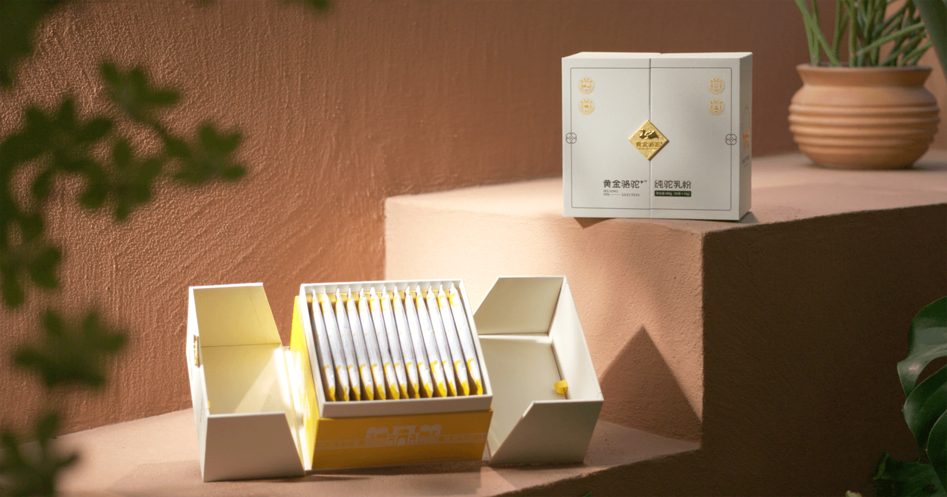 定位小众高端乳粉，AG贵宾会推出驼奶品牌“黄金骆驼+”，角逐乳品新市场！